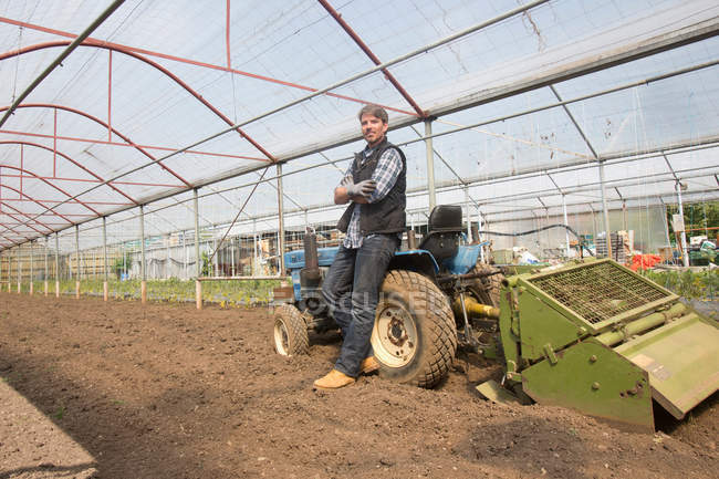Retrato de agricultor ecológico con tractor en polytunnel - foto de stock