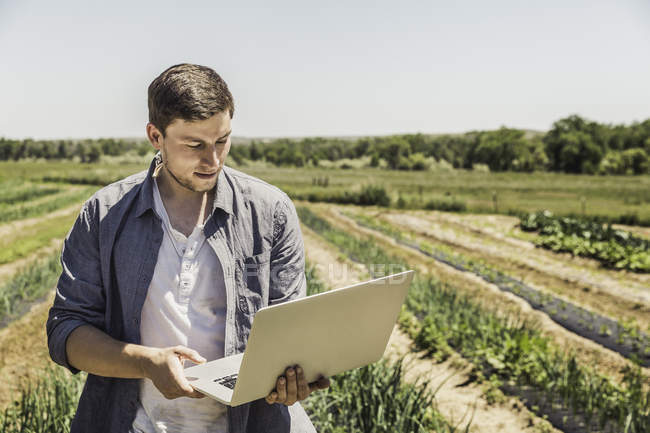 Людина в овочевому саду за допомогою ноутбука — стокове фото