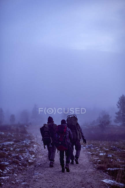 Vista trasera de tres excursionistas con mochilas caminando por sendero rural - foto de stock
