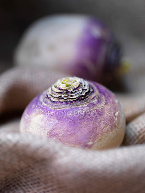 Close up shot of purple turnip in sack — Stock Photo