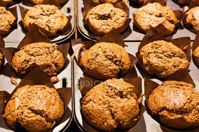 Fresh baked muffins in baking tin — Stock Photo