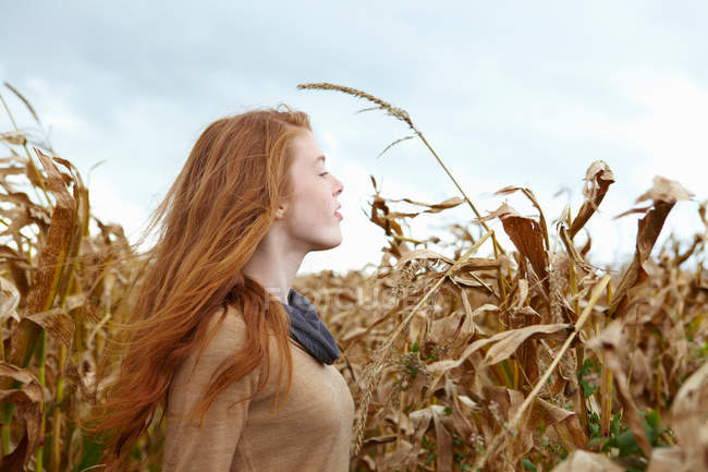 Teenage girl walking in cornfield, selective focus — Stock Photo
