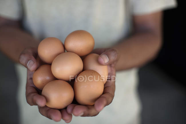 Primer plano de las manos sosteniendo huevos - foto de stock
