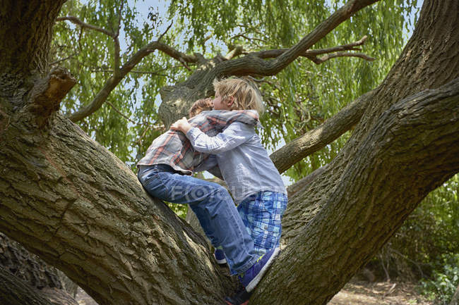 Dois irmãos abraçando em árvores da floresta — Fotografia de Stock