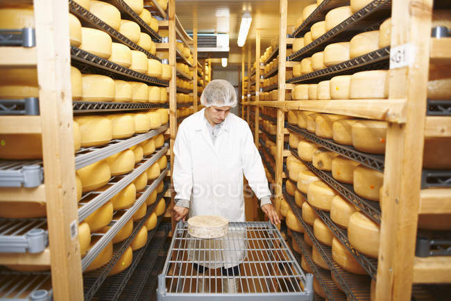 Worker wheeling cheese round for storage at farm factory — Stock Photo