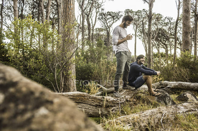 Two men drinking coffee on fallen tree in forest, Deer Park, Cape Town, South Africa — Stock Photo