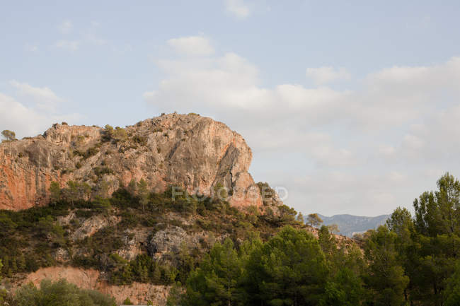 Скельні утворення на сільській вершині пагорба з ялиновими деревами — стокове фото