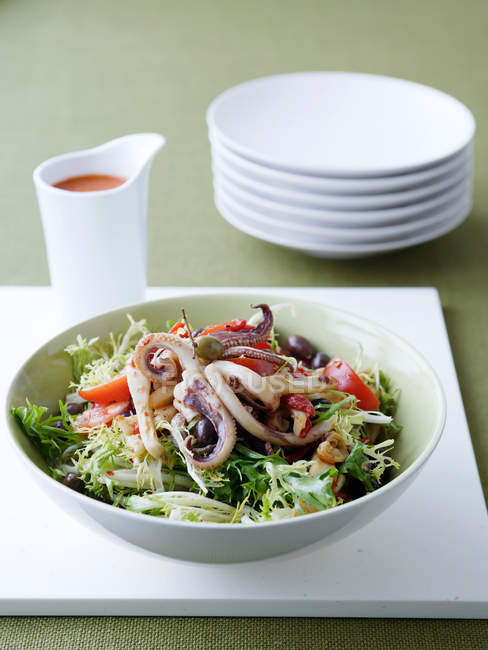 Тарелка кальмара с салатом — стоковое фото