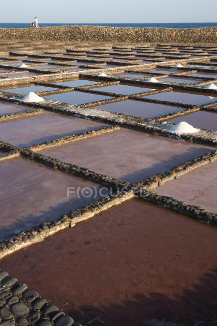 Fazenda de sal, Fuerteventura, Ilhas Canárias, Espanha — Fotografia de Stock