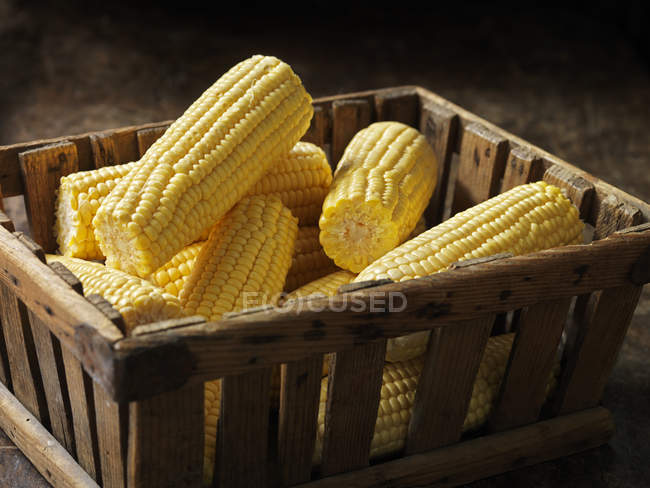 Verduras orgánicas frescas, maíz dulce tierno en cajón - foto de stock