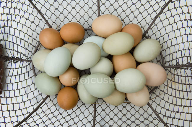 Яйця в кошику для покупок — стокове фото