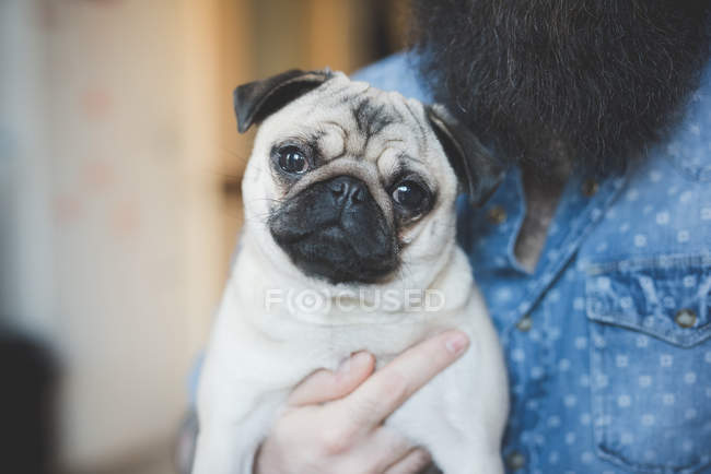 Jeune homme barbu portant le chien dans les bras — Photo de stock