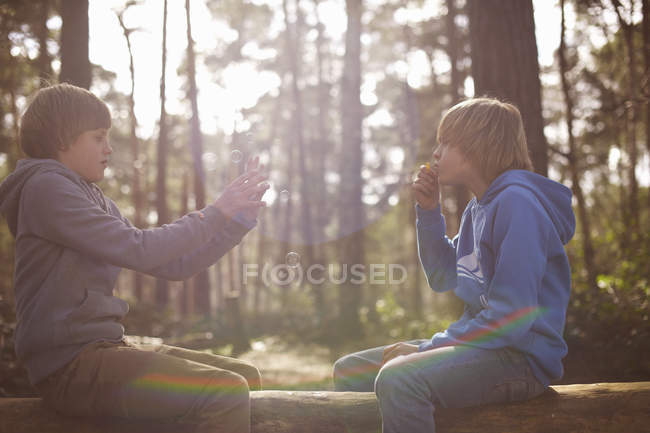 Twin brothers taking photographs on smartphone in forest — Stock Photo