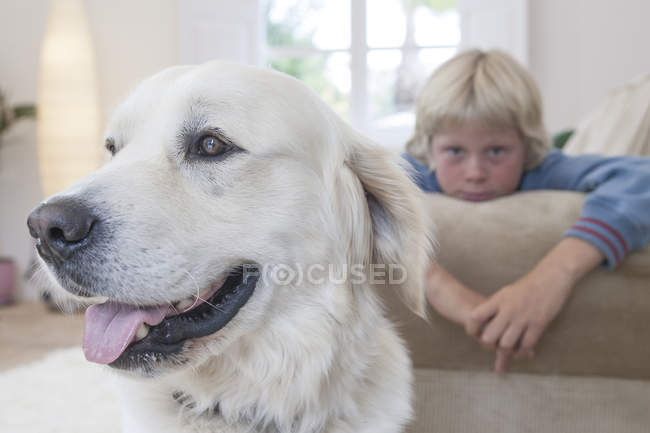 Primer plano del perro mascota, niño apoyado en el sofá en el fondo - foto de stock