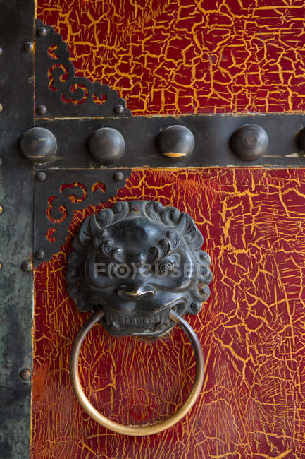 Деталі дверного стукача на дверях халупи — стокове фото