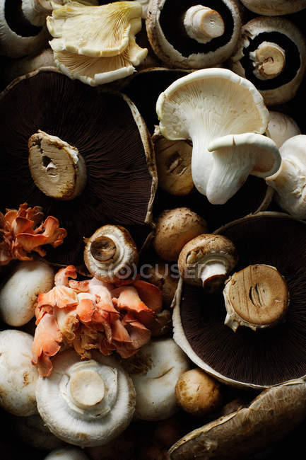 Vista de perto de vários cogumelos na mesa — Fotografia de Stock