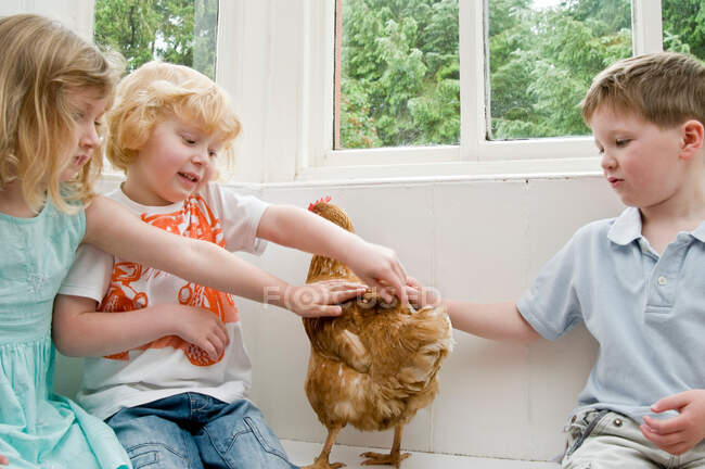Children stroking a chicken — Stock Photo