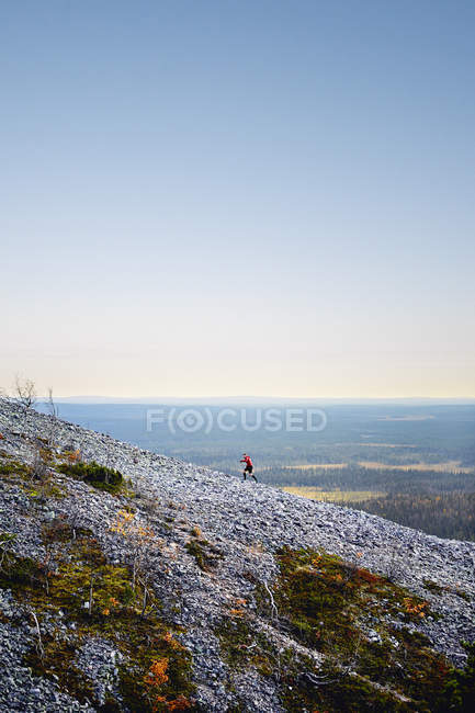 Trail runner salita ripida collina rocciosa, Kesankitunturi, Lapponia, Finlandia — Foto stock