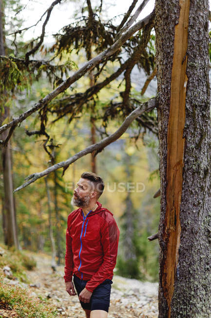Trail runner resting by tree in forest, Kesankitunturi, Lapland, Finland — Stock Photo