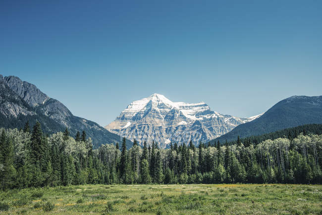 Vue sur la montagne enneigée avec bois vert et champ — Photo de stock
