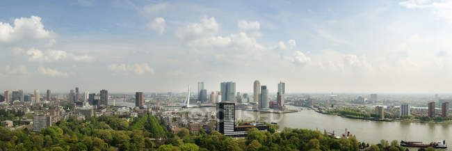 Rotterdam city skyline with green trees, Netherlands — Stock Photo