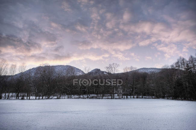Campo innevato con montagne al tramonto — Foto stock