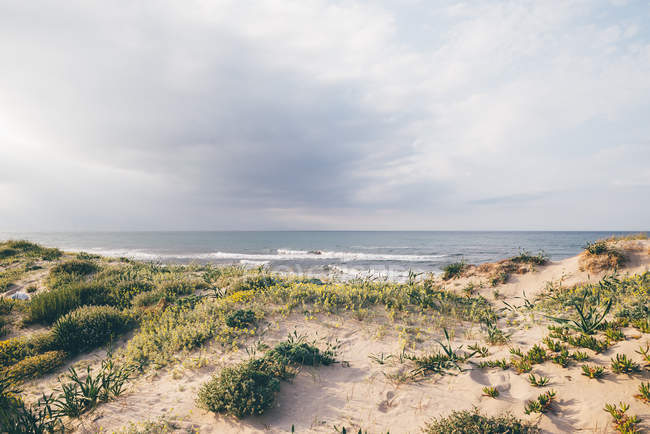 View of sea and sand dunes, Sorso, Sassari, Sardinia, Italy — Stock Photo