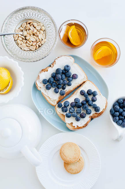 Toasts with blueberries on plate — Stock Photo
