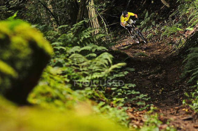 Bicicleta de montaña hombre a través del bosque - foto de stock