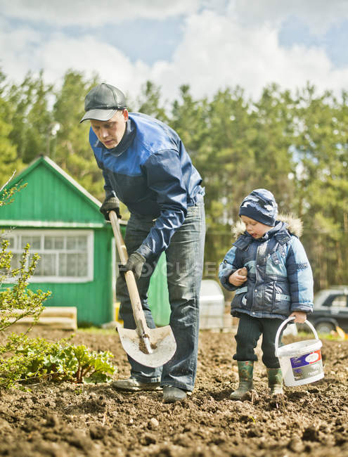 Padre e hijo pequeño excavando parcela en el jardín - foto de stock