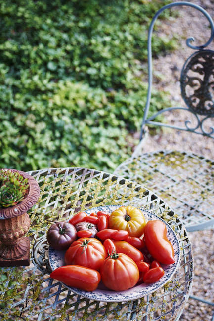 Selección de diferentes tomates en plato - foto de stock