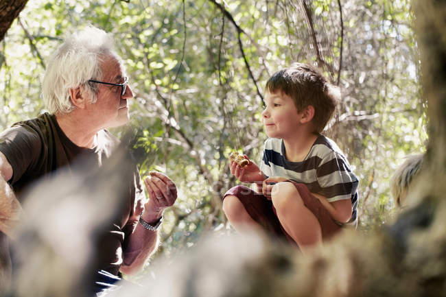 Father and his sons playing in the forest — Stock Photo