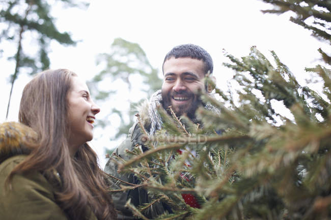 Junges Paar sammelt Weihnachtsbaum aus Wald — Stockfoto
