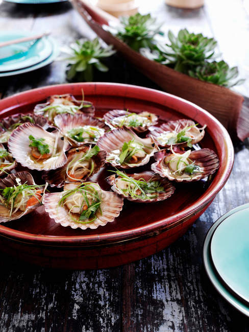 Pan of oysters floating in water — Stock Photo