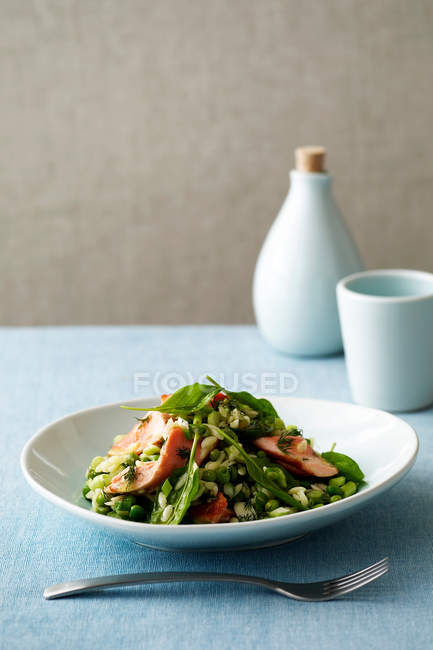 Салат из лосося и ризони на тарелке — стоковое фото