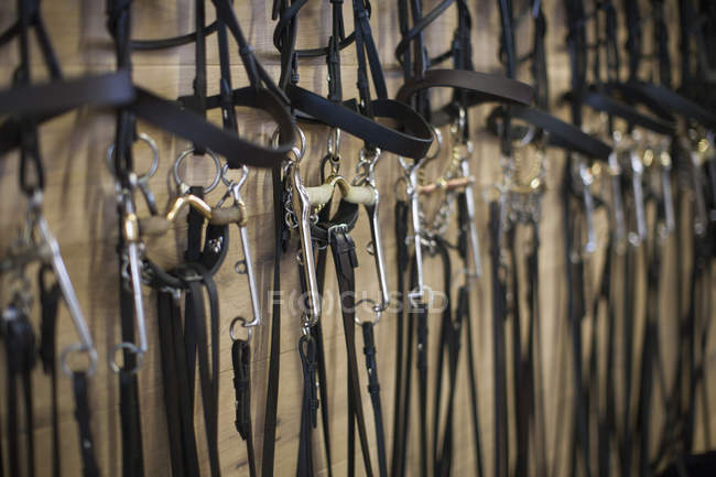 Fila de bridles pendurados em estábulos — Fotografia de Stock
