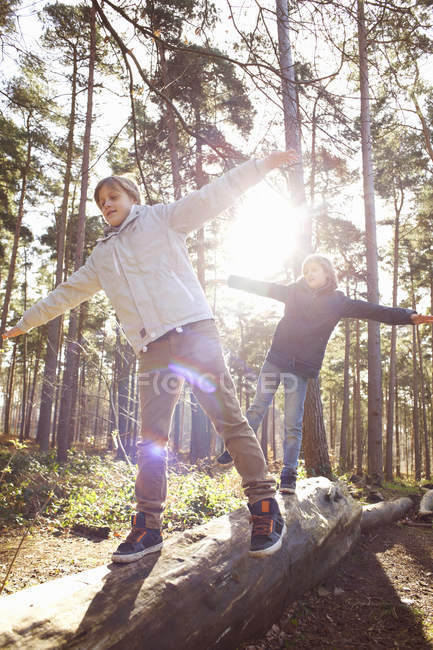 Zwillingsbrüder spazieren im Wald an umgestürztem Baumstamm entlang — Stockfoto