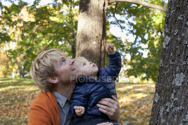 Padre e hijo jugando en el fondo del árbol - foto de stock