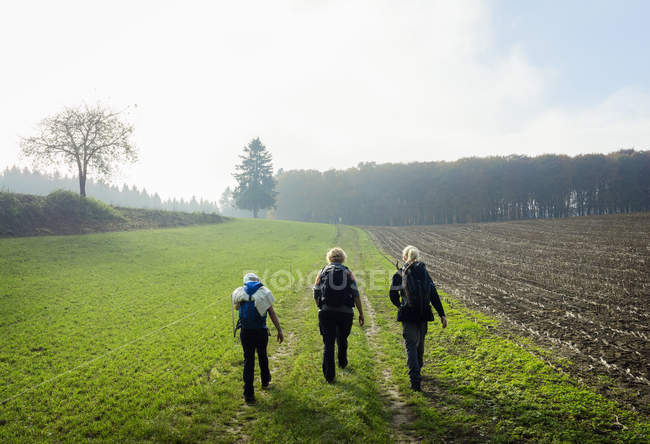 Rear view of mother and two children hiking along field path, Beaufort, Echternach, Luxembourg — Stock Photo