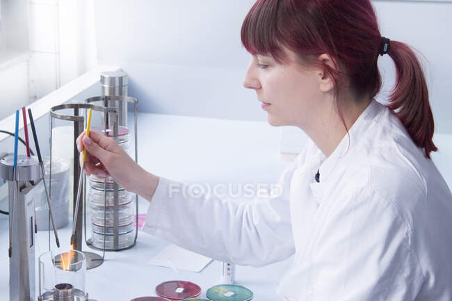 Científico trabajando en laboratorio - foto de stock