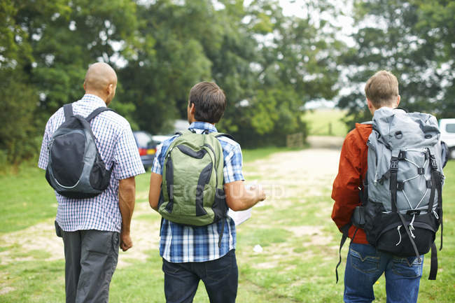 Amigos com mochilas andando em campo, visão traseira — Fotografia de Stock