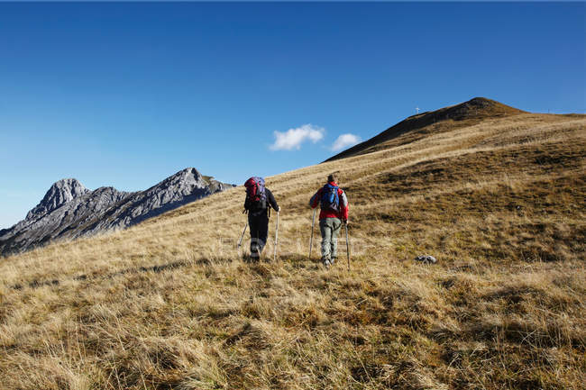 Vista posteriore di amici godendo di passeggiata in collina nel paesaggio montano — Foto stock