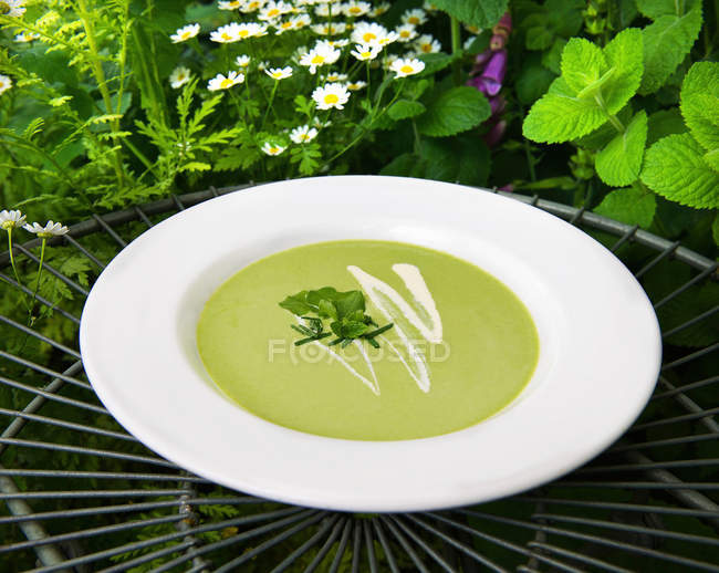 Mint pea soup — Stock Photo