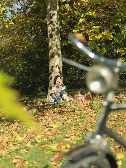 Женщина с пикником под деревом осенью — стоковое фото