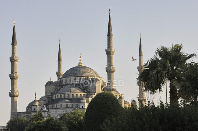 Cúpula y minaretes de la mezquita del sultán Ahmed, Estambul, Turquía - foto de stock