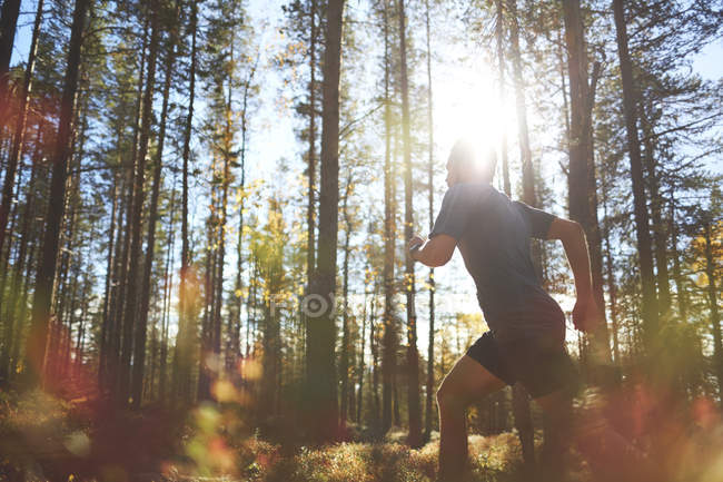 Man trail running in forest, Keimiotunturi, Lapponia, Finlandia — Foto stock
