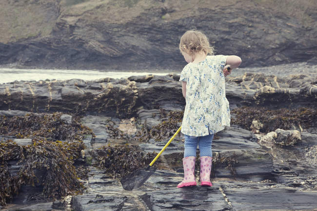 Feminino criança pesca em piscinas de rocha na praia, Crackington Haven, Cornwall, Reino Unido — Fotografia de Stock