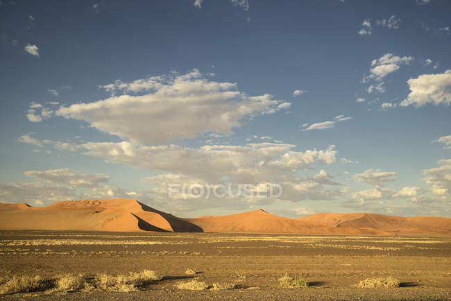 Giant sand dune in the Namib Desert — Stock Photo