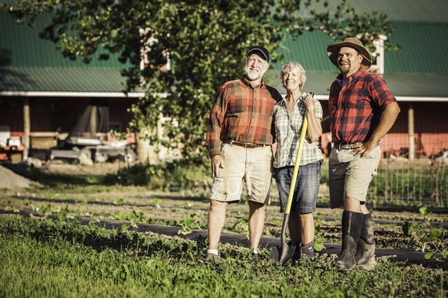 Familia de agricultores en huerto mirando hacia otro lado sonriendo - foto de stock