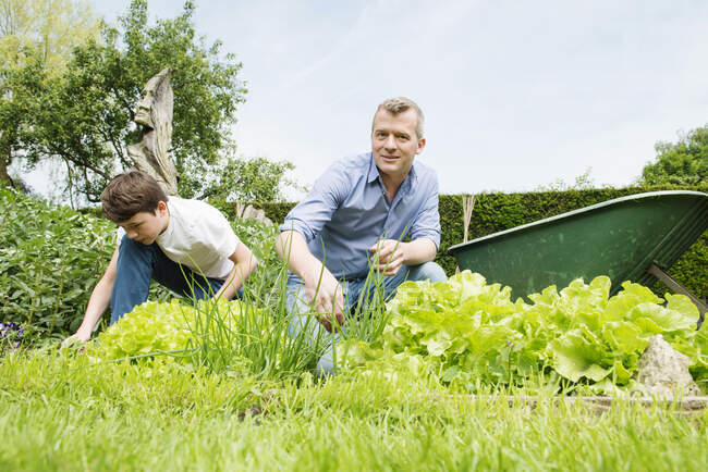 Pai e filho jardinagem — Fotografia de Stock
